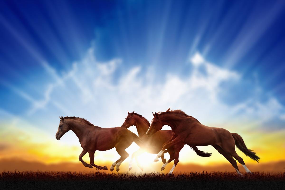 Sonhar com cavalo significa o quê? Desvende esse sonho!