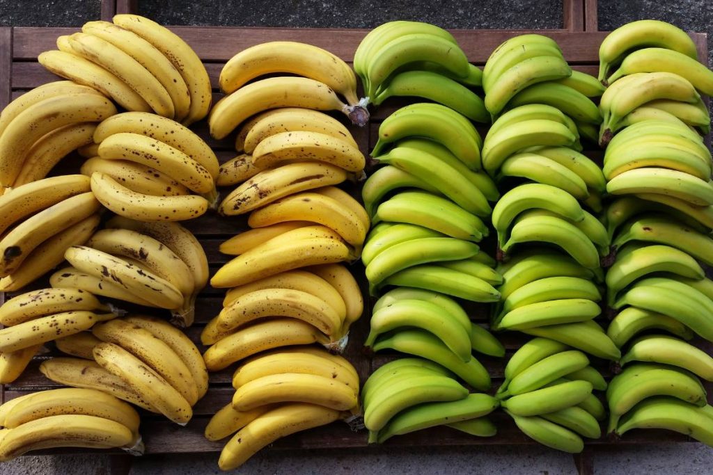 Sonhar Com Banana Casca Cacho Podre Madura O Que Quer Dizer